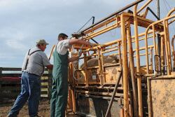 Veterinarians address producer questions and confusion about rules