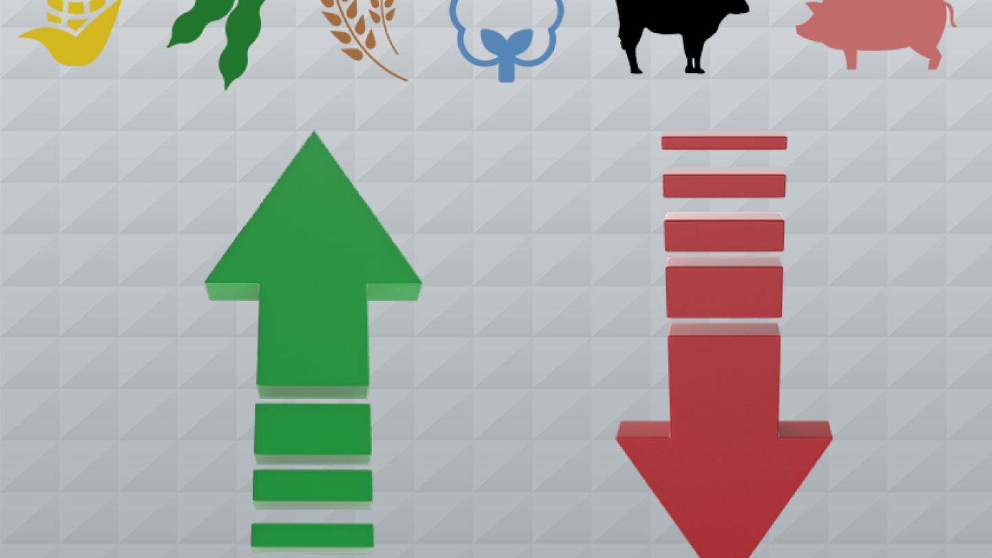 After the Bell October 23, 2024