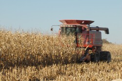 Harvest