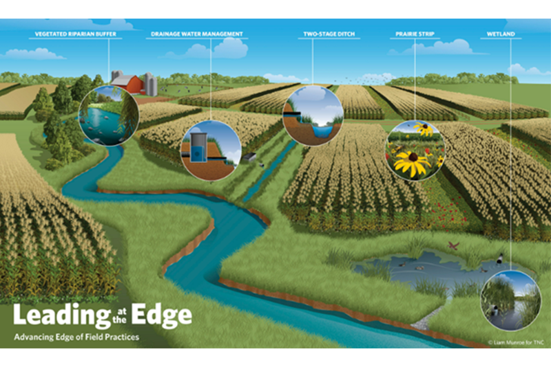 Farmers across the United States are successfully implementing edge of field practices to better manage water and reduce nutrient and sediment loss from their fields.  