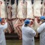 USDA Meat Inspection