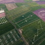 Yara and IBM  will develop a global platform for agriculture, which joins together Yara’s digital farming capabilities , agronomic know-how and team of more than 800 agronomists with IBM’s Watson Studio, IBM PAIRS technology, The Weather Company and other services.