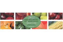 Mid Atlantic