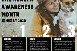 One Health focuses on the linkages between human, animal and environmental health and the need to develop comprehensive solutions. 