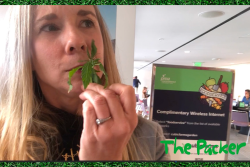 The Packer's Northeast editor Amy Sowder samples organic baby hemp greens at PMA Foodservice Show in Monterey, Calif.