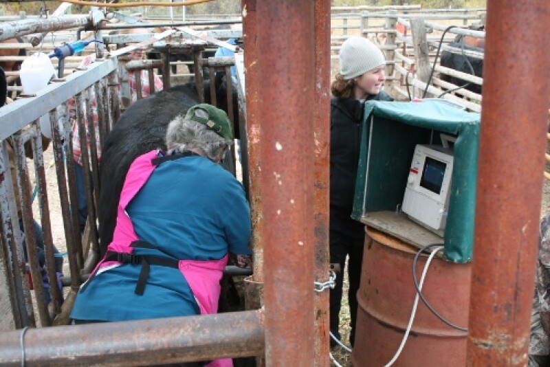 Rural practice features challenges and opportunities that differ considerably from those in an urban companion-animal setting.