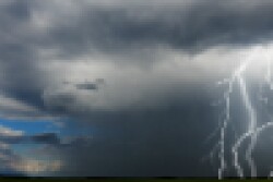 Monetary aid caused by 2018 and 2019 natural disasters is available for qualifying producers.