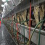 Overall, U.S. milk production was up by 0.2 percent in February from a year earlier. Butter usage in the US has increased by 2 percent from 2018.

