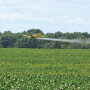 Fungicide Application