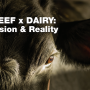 Beef-On-Dairy