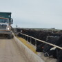BT_Feedlot_Truck