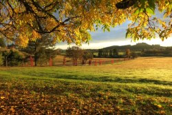  As we move into the end of summer and look ahead to cooler temperatures of fall, most of our commodities have settled in to a tight range. 