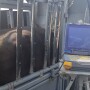 An ultrasound is one way of checking cows' pregnancy early. 