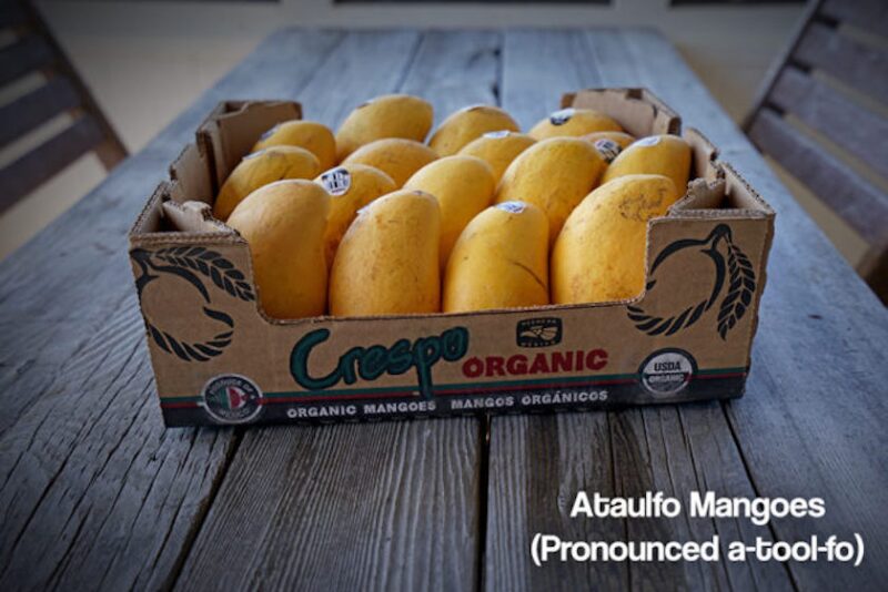 crespo organic ataulfo mangoes