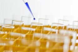 test tubes