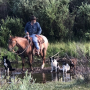 Greg Sykes with Cisco (left) and other working cow dogs.