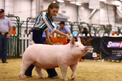 NJSA girl showing a pig
