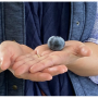 At 16.2 grams, the Ozblu berry was 3.51 grams heavier than the previous Guinness World Record blueberry,, which was also the Ozblu variety.