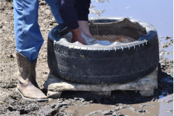 Determining proper mineral supplementation merits more thought than simply going to the feed store, grabbing a few bags or a pallet of the mineral they have on hand and throwing it in a lick tub.
