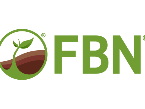 FBN logo.png