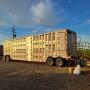 cattle truck