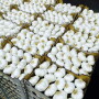 The unique attributes of garlic make it perfect for cooking demos that stir the senses.