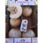 The  Picasso melon is a variety that Five Crowns Marketing has just launched this season.