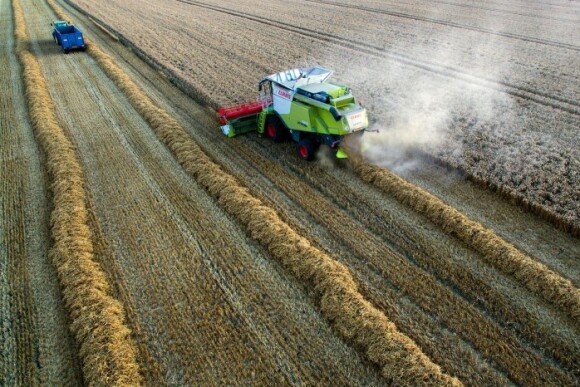 UK_Brexit_Combine.jpg
