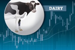 2022 Markets Dairy