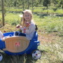 Emmelia Sakelaris, 5, snacks on an apple after she fills her bag Oct. 3, at the Eastern Produce Council's 6th annual Joe DeLorenzo Family Apple-Picking Event at Melick's Cider Mill and Orchard, Oldwick, N.J.
