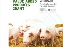 Choplocal webinar