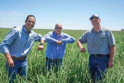 Joe Ange (from left), director of business development for Eagle Eye Produce; Jason Pearson, director of onion sales; and Dan Corn, an Eagle Eye onion grower, share a socially distanced greeting.