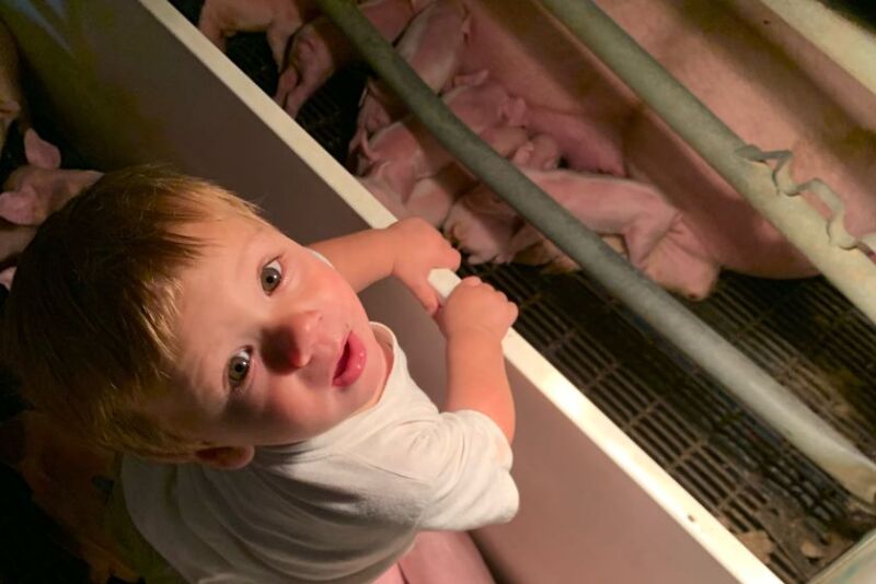 AV Roth Son in Farrowing barn