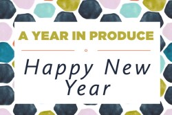 YIP - Happy New Year -1.jpg