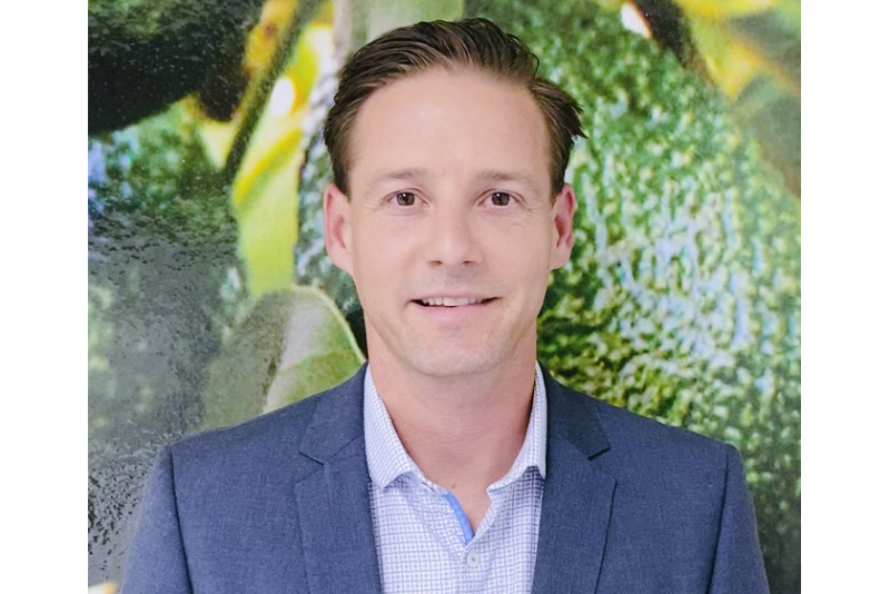 stephen sheldon