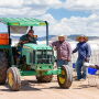 Feeding accelerated milk replacer can have benefits to calves well after weaning.