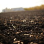 RedRiverValleySoil
