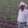Crespo founder Roberto Crespo Fitch.