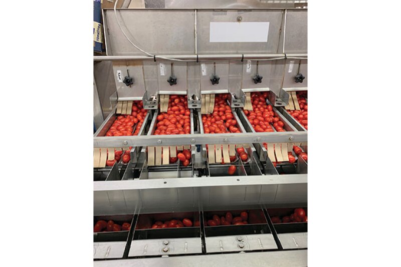 Peter John Condakes, president and co-owner of Peter Condakes Co., says the company’s foodservice customers adapted to delivering boxes of produce to retail customers’ homes, among other strategies, in order to offset drops in business during the coronavirus pandemic