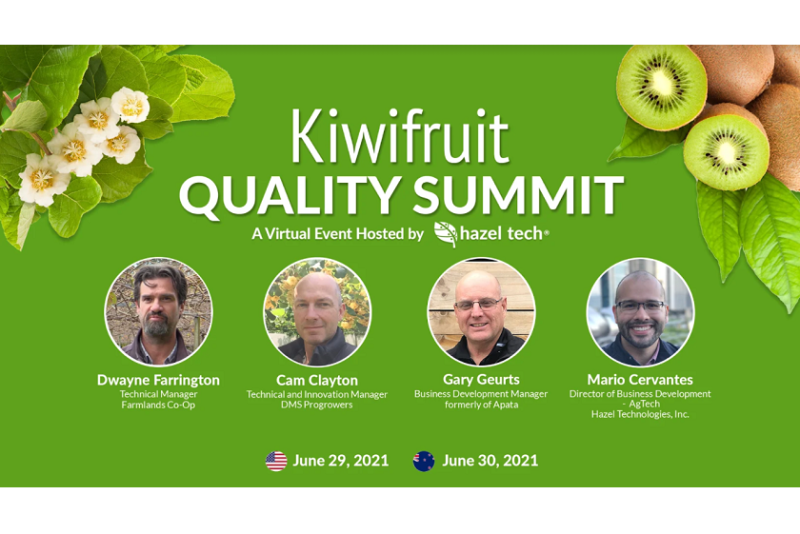 kiwi