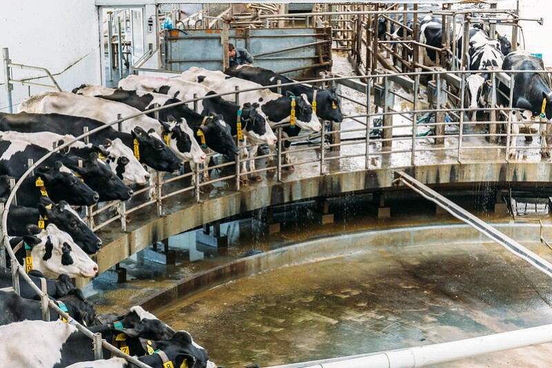 6DE31A77-FE37-4A2B-BACA4E528CD6B292.jpg
