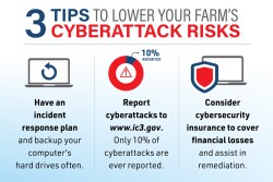 3 cyber security tips