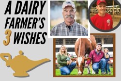 A Dairy Farmer's 3 Wishes