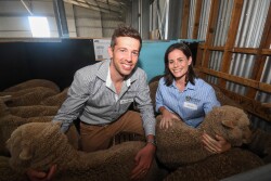 Associate Professor Simon de Graaf and post-doctoral researcher Jessica Rickard visit lambs bred using the 50-year-old semen. 