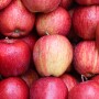 Apples