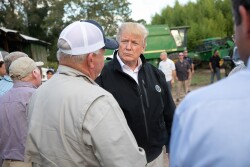 President Donald Trump