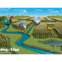 Farmers across the United States are successfully implementing edge of field practices to better manage water and reduce nutrient and sediment loss from their fields.  
