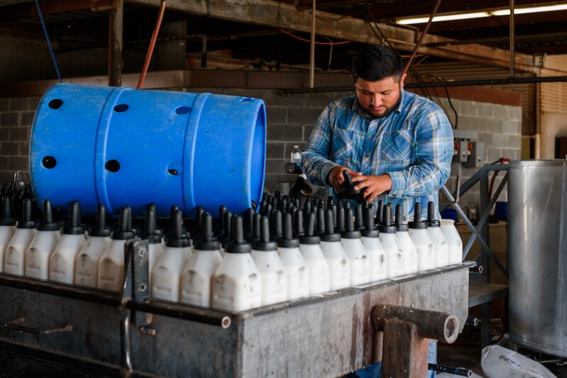Las Uvas Valley Dairy 05.JPG