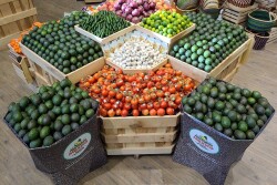 avocado display with guacamole ingredients merchandising