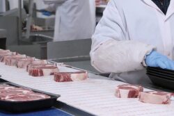Beef packing plant workers